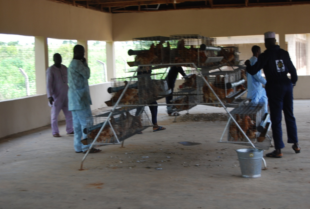Skills Training Session